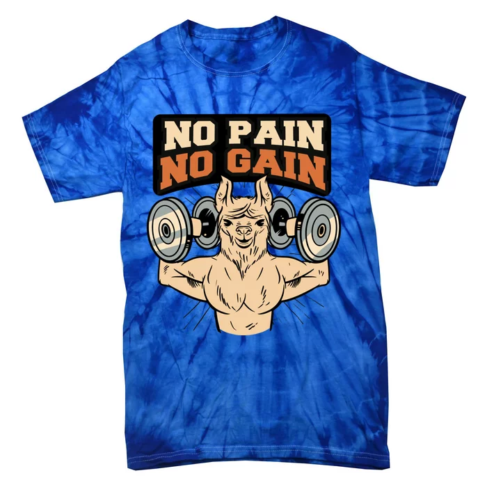 No Pain No Gain Gym Muscles Bodybuilding Meaningful Gift Tie-Dye T-Shirt