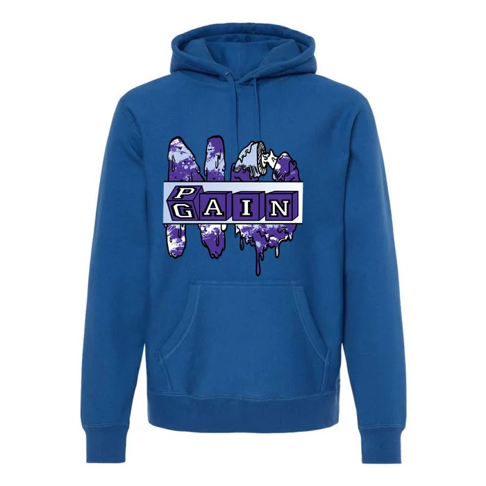 No Pain No Gain Retro Concord 5s Matching Gift Premium Hoodie