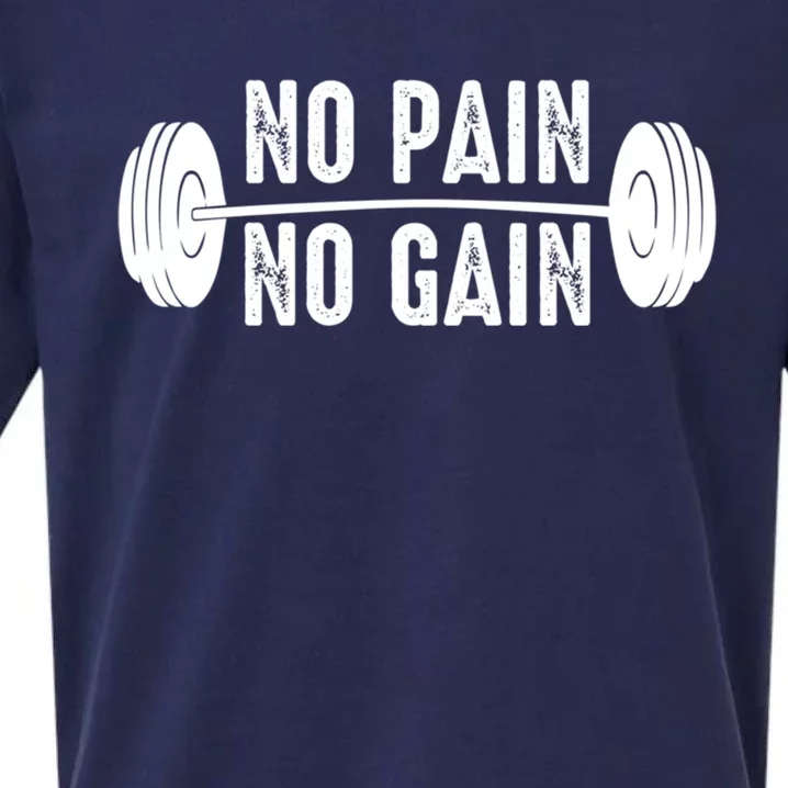 No Pain No Gain Gym Workout Fitness Gift Sueded Cloud Jersey T-Shirt