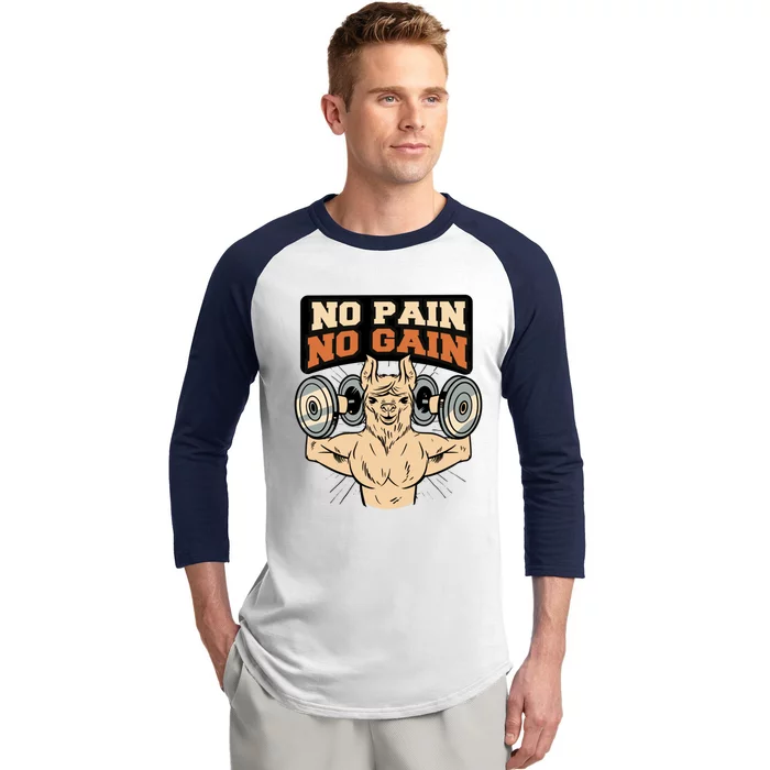 No Pain No Gain Gift Baseball Sleeve Shirt