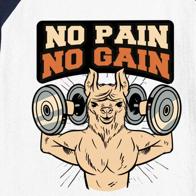 No Pain No Gain Gift Baseball Sleeve Shirt