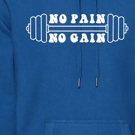 No Pain No Gain Gift Gym Workout Motivational Cute Gift Premium Hoodie