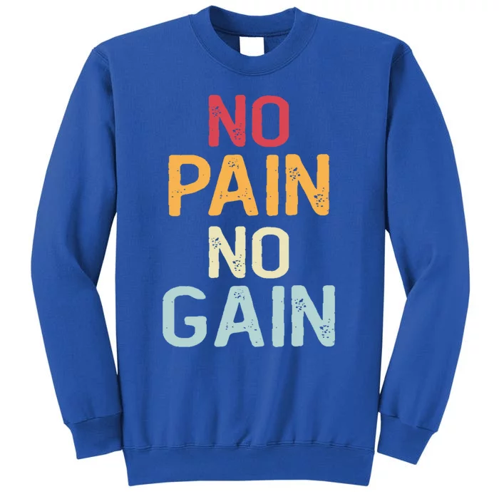 No Pain No Gain Gym Workout Fitness Training Gift Sweatshirt