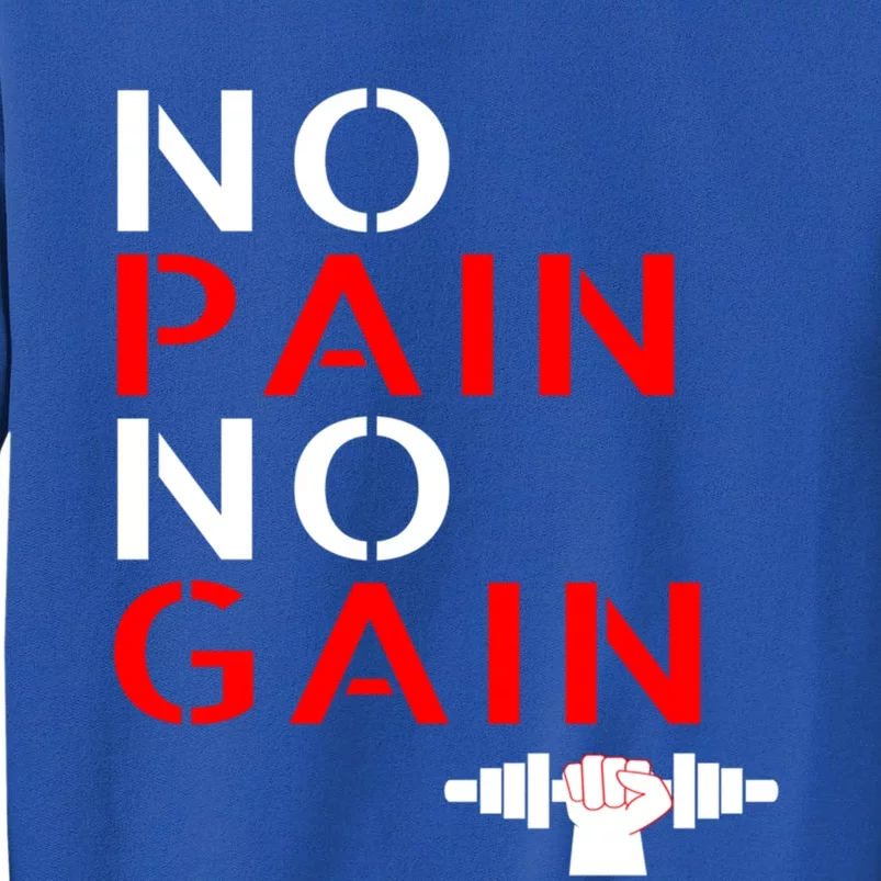 No Pain No Gain Cool Gift Motivation Gym Sweafunny Gift Sweatshirt