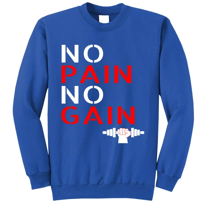 No Pain No Gain Cool Gift Motivation Gym Sweafunny Gift Sweatshirt