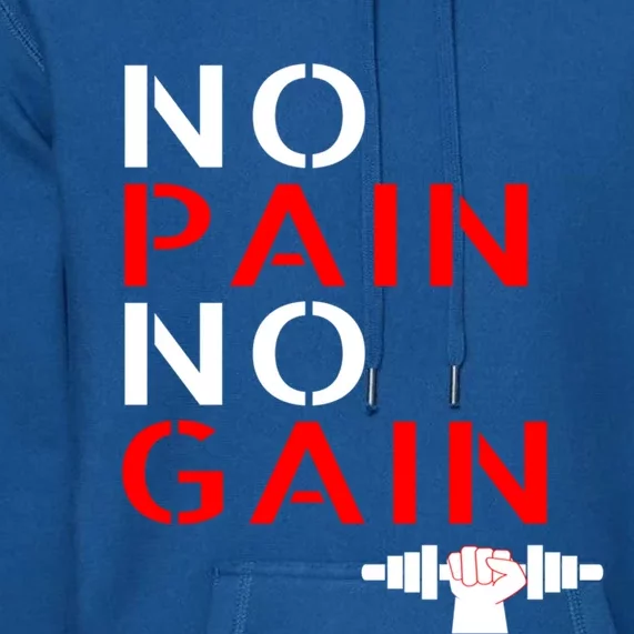 No Pain No Gain Cool Gift Motivation Gym Sweagift Premium Hoodie