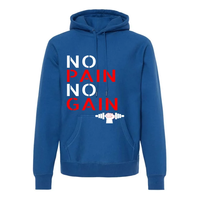 No Pain No Gain Cool Gift Motivation Gym Sweagift Premium Hoodie