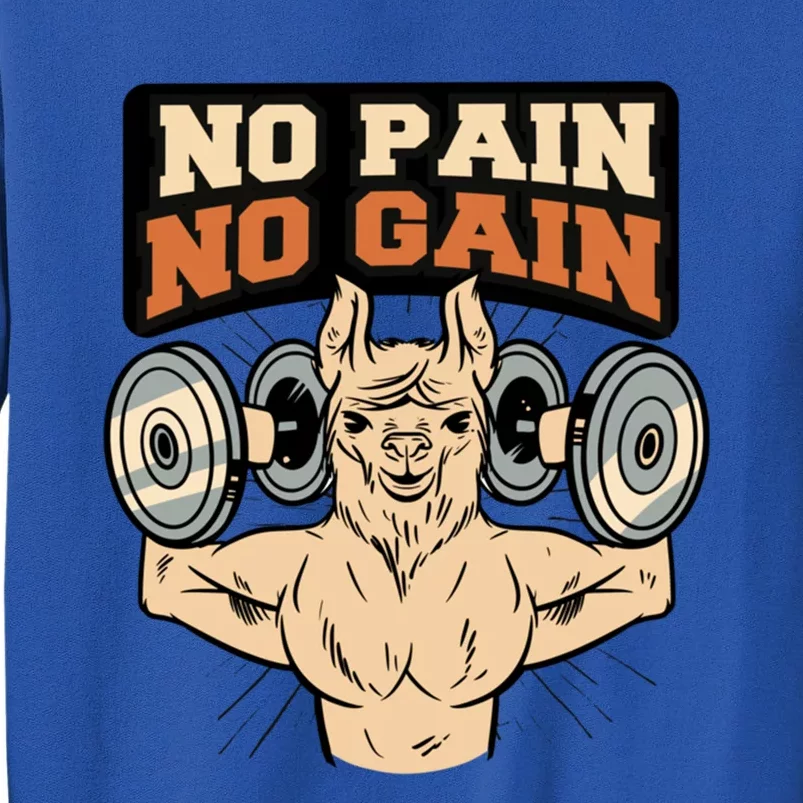 No Pain No Gain Gift Sweatshirt