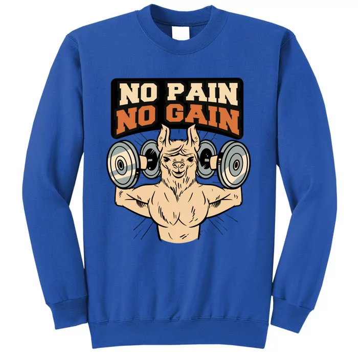 No Pain No Gain Gift Sweatshirt