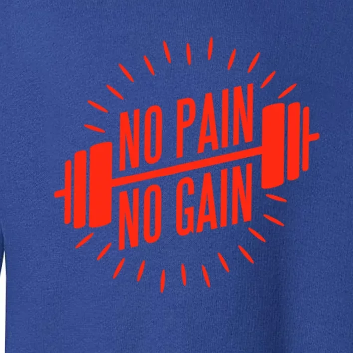 No Pain No Gain Fitness Gym Clothing Equipt Funny Gift Toddler Sweatshirt