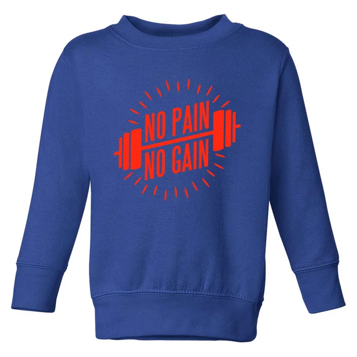 No Pain No Gain Fitness Gym Clothing Equipt Funny Gift Toddler Sweatshirt