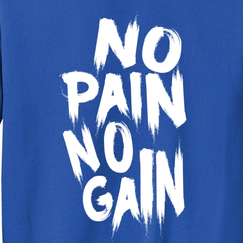 No Pain No Gain Awesome Gym And Sport Party Accessories Gift Sweatshirt