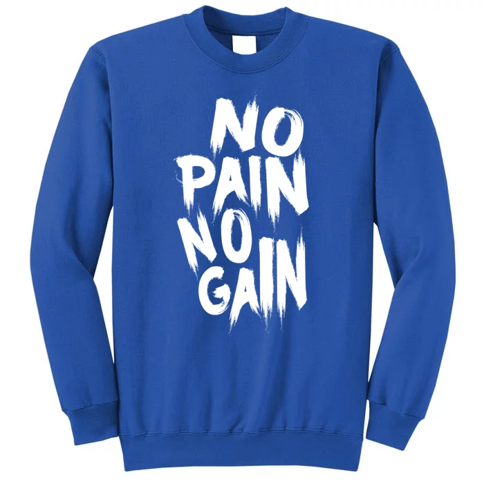 No Pain No Gain Awesome Gym And Sport Party Accessories Gift Sweatshirt