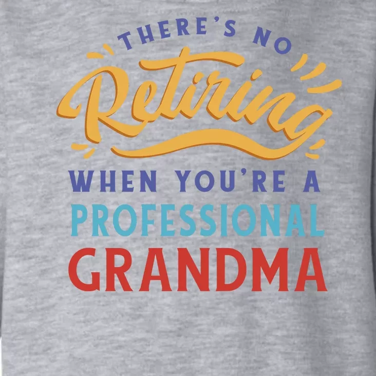 No Retiring Professional Grandma Funny Gift Toddler Hoodie