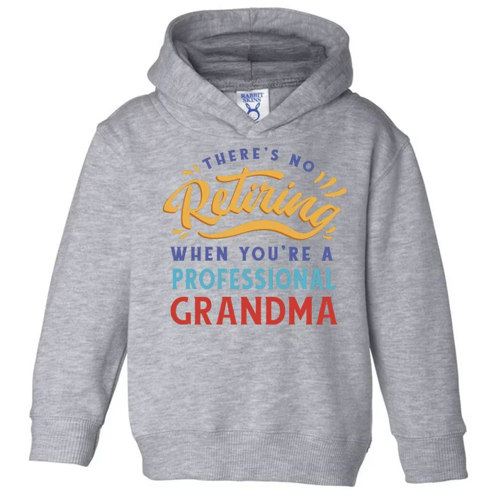 No Retiring Professional Grandma Funny Gift Toddler Hoodie