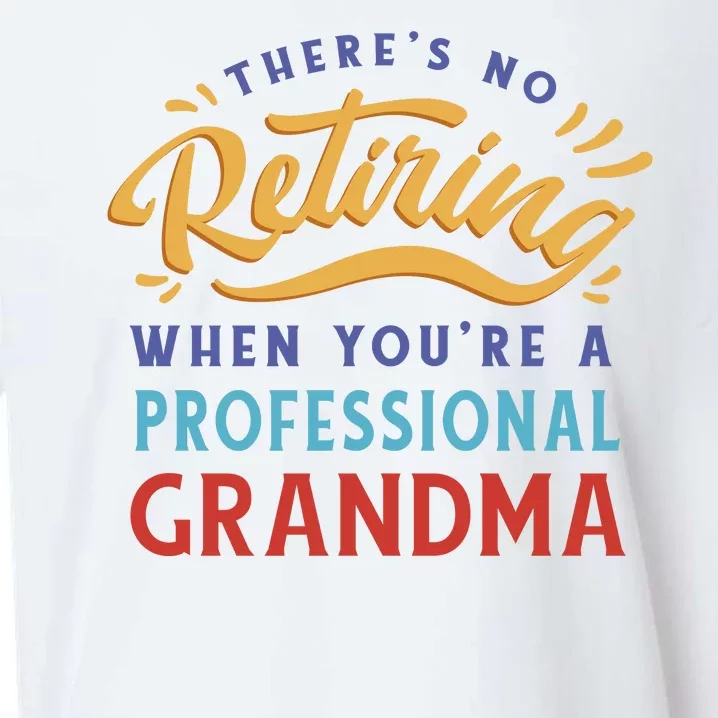 No Retiring Professional Grandma Funny Gift Sueded Cloud Jersey T-Shirt