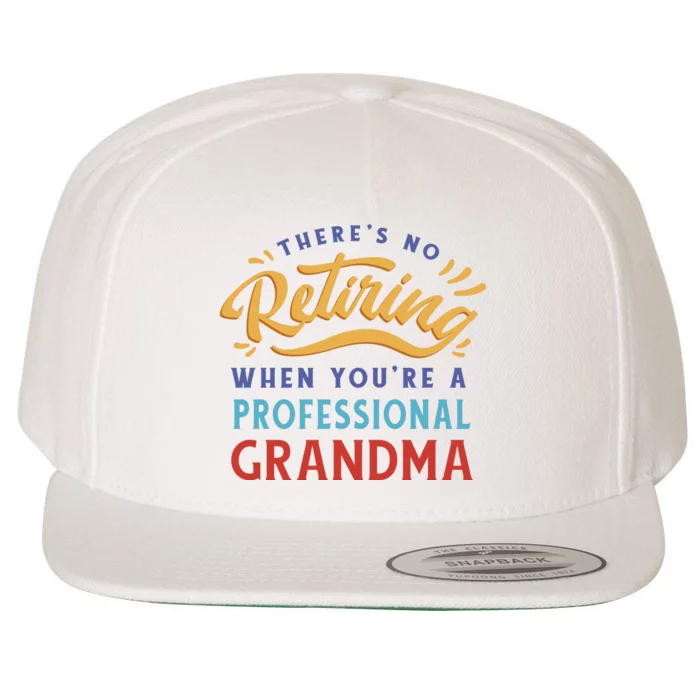 No Retiring Professional Grandma Funny Gift Wool Snapback Cap