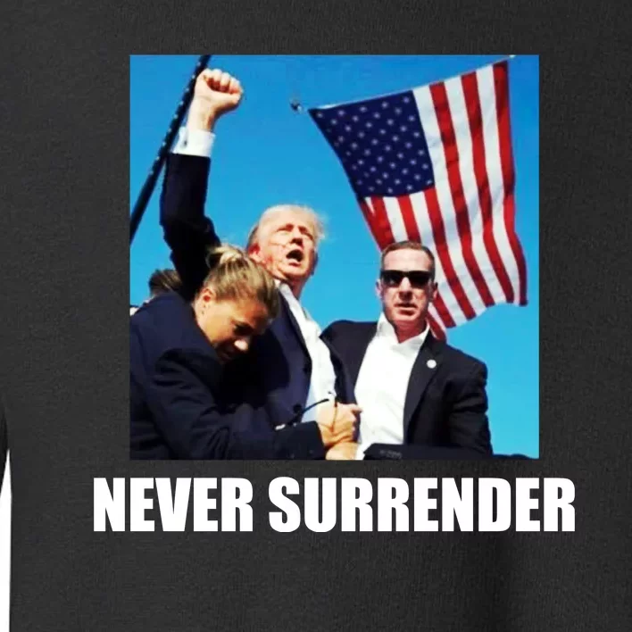 Never Surrender 2024 Take America Back Pennsylvania Rally Shooting Toddler Sweatshirt