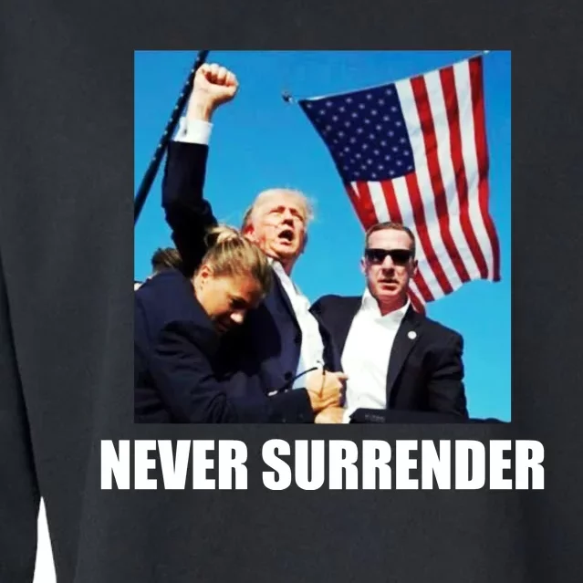 Never Surrender 2024 Take America Back Pennsylvania Rally Shooting Cropped Pullover Crew