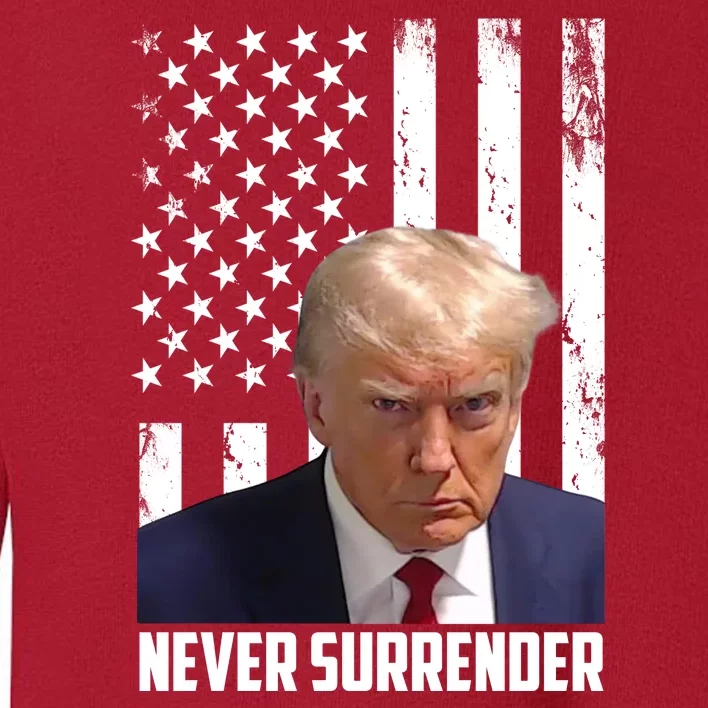 Never Surrender Donald Trump American Flag Mugshot Toddler Sweatshirt