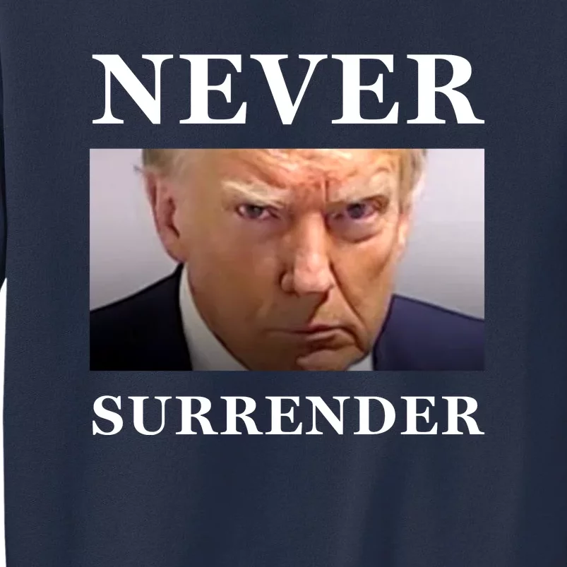 Never Surrender Donald Trump For President 2024 Mugshot Sweatshirt