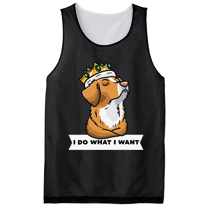 Nova Scotia Duck Tolling Retriever Dog Mesh Reversible Basketball Jersey Tank