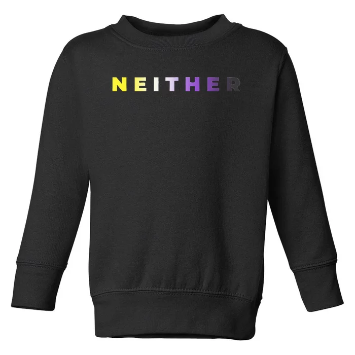 Neither Subtle Flag Enby Toddler Sweatshirt