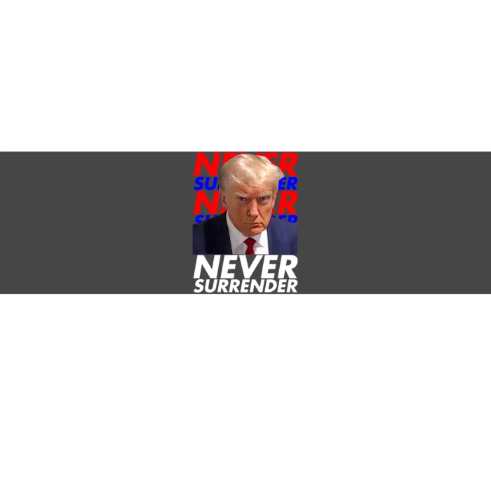 Never Surrender Fingerprint USA President Donald Trump 2024 Gift Bumper Sticker