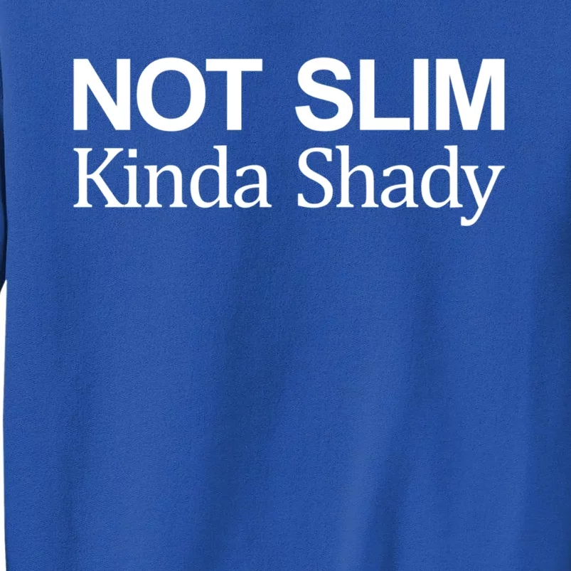 Not Slim Gift Kinda Shady Gift Sweatshirt