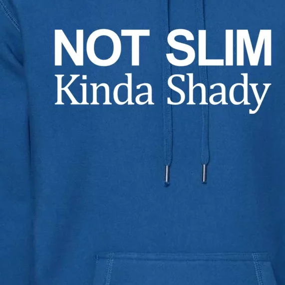 Not Slim Gift Kinda Shady Gift Premium Hoodie