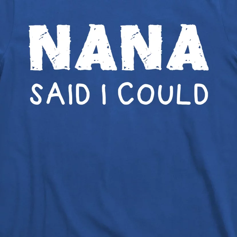 Nana Said I Could Funny Design Gift T-Shirt