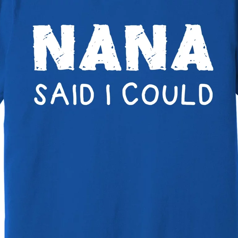 Nana Said I Could Funny Design Gift Premium T-Shirt