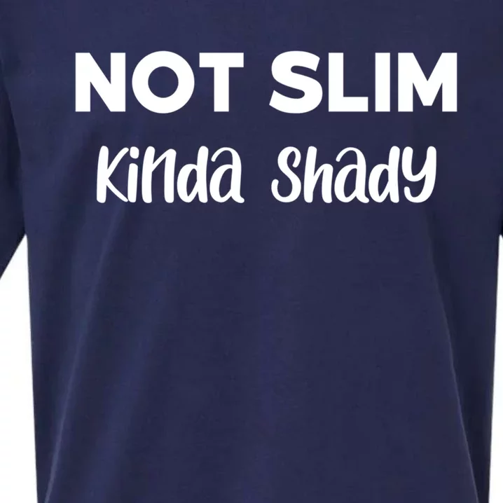 Not Slim Kinda Shady Funny Novelty Graphic Gift Sueded Cloud Jersey T-Shirt