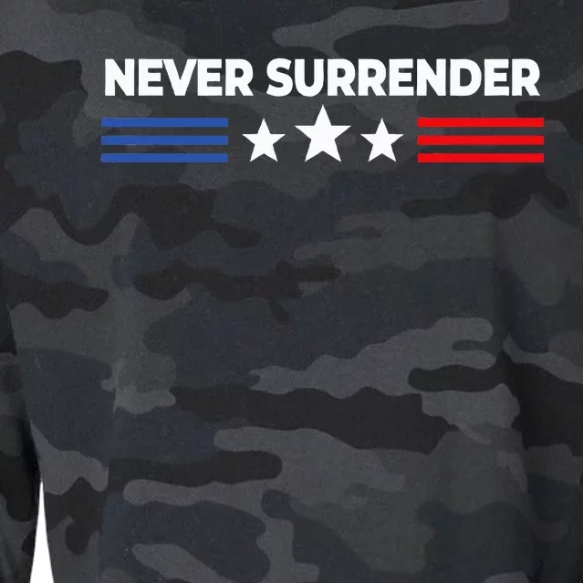 Never Surrender Never Surrender Cropped Pullover Crew