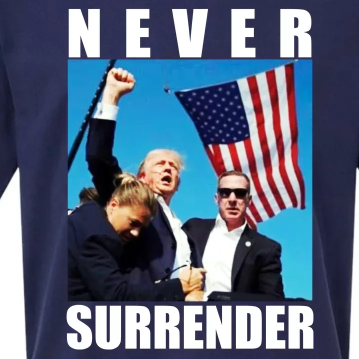 Never Surrender Trump 2024 Pennsylvania Rally Shooting Sueded Cloud Jersey T-Shirt