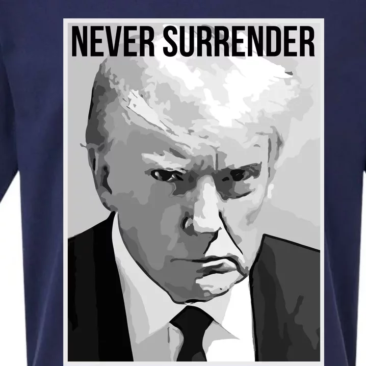 Never Surrender Trump Mugshot 2024 President Legend Sueded Cloud Jersey T-Shirt