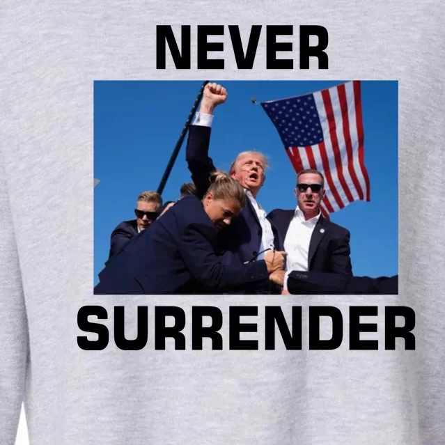 Never Surrender Trump Pennsylvania Rally Cropped Pullover Crew