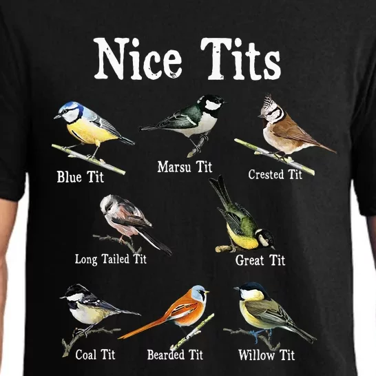 Nice Tits Bird Watching Funny Gifts Adults Birder Humor Pajama Set