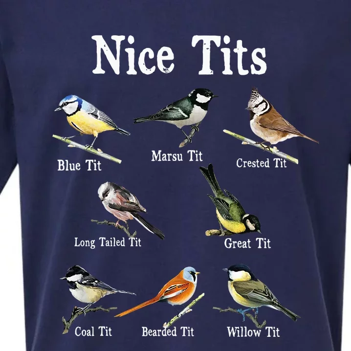 Nice Tits Bird Watching Funny Gifts Adults Birder Humor Sueded Cloud Jersey T-Shirt