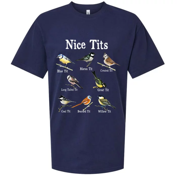 Nice Tits Bird Watching Funny Gifts Adults Birder Humor Sueded Cloud Jersey T-Shirt