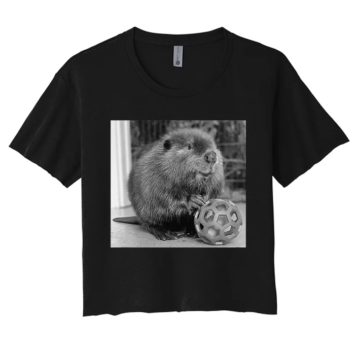 Nibi The Beaver With The Moon Vintage Beaver Lover Women's Crop Top Tee