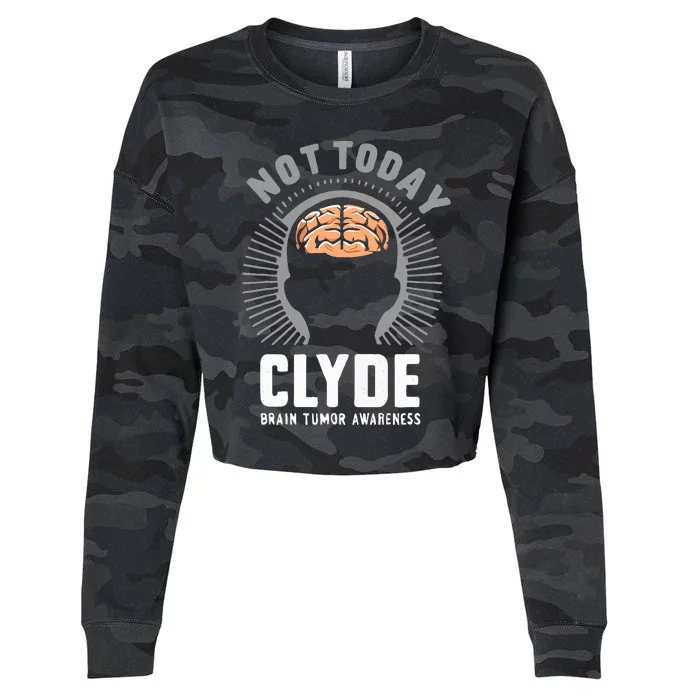 Not Today Clyde Brain Tumor Awareness Design Cropped Pullover Crew