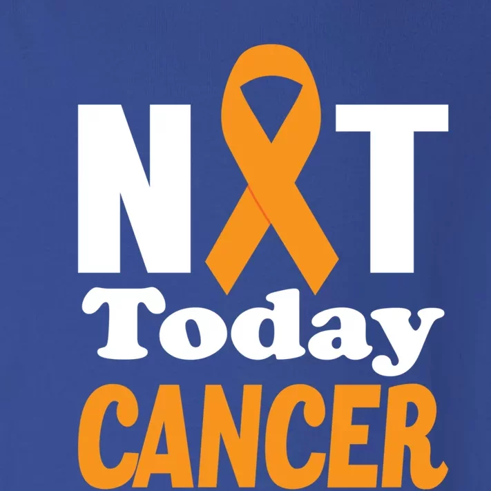 Not Today Cancer Fighter And Survivor Gift Toddler Long Sleeve Shirt