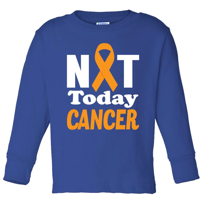 Not Today Cancer Fighter And Survivor Gift Toddler Long Sleeve Shirt