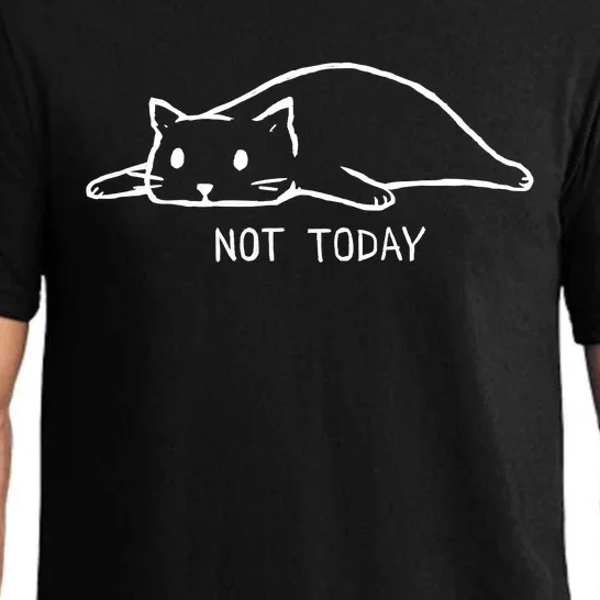 Not Today Crazy Cat Cute Cat For Lover Animal Tee Pajama Set