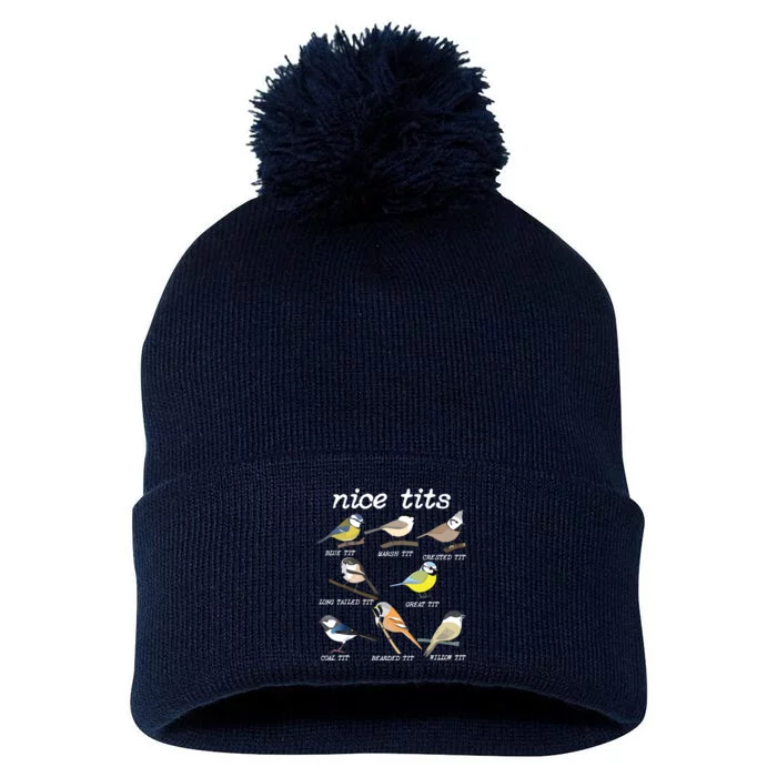 Nice Tits Funny Bird Watching, Funny Tit Birds Birdwatcher Pom Pom 12in Knit Beanie