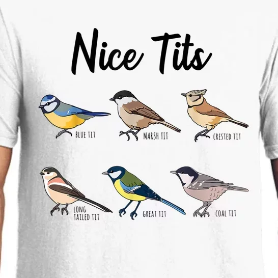 Nice Tits Funny Bird Watching Birding Pajama Set