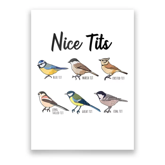 CINESSD Nice Tits Funny Bird Watching Funny Tit Birds Birdwatcher T-Shirt Cotton Tops T Shirt Design Special
