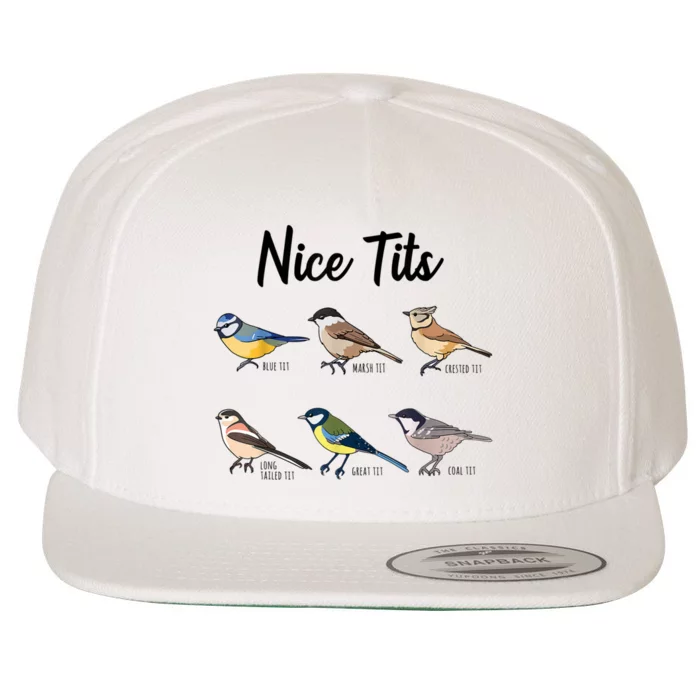 Nice Tits Funny Bird Watching Birding Wool Snapback Cap