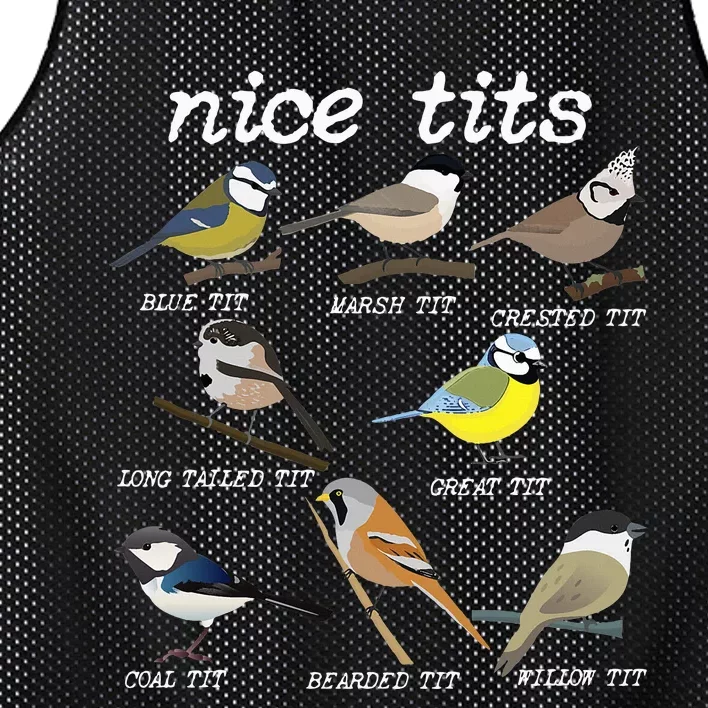 Nice Tits Funny Bird Watching Funny Tit Birds Birdwatcher Mesh Reversible Basketball Jersey Tank